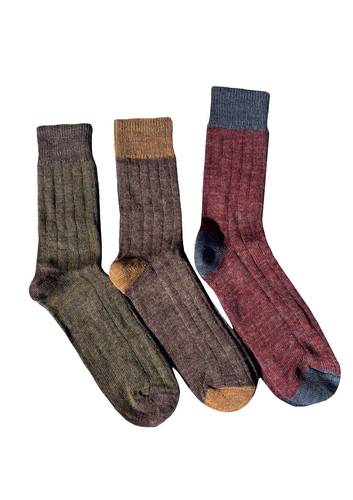 Calzino Paripiede Uomo Alpaca Assortiti Autunno