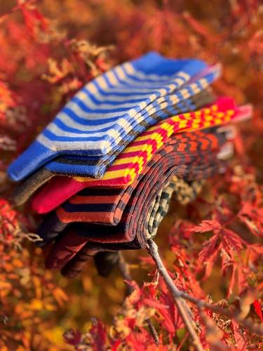 Calzino Paripiede Donna caldo cotone righe bordeaux/blu