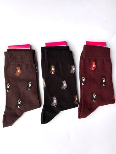 Calzino Paripiede Donna caldo cotone micetti assortiti variante due