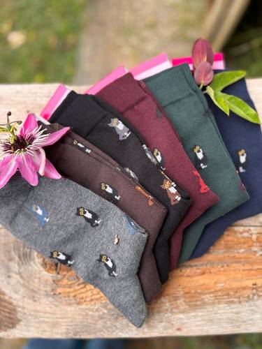 Calzino Paripiede Donna caldo cotone micetti assortiti variante uno