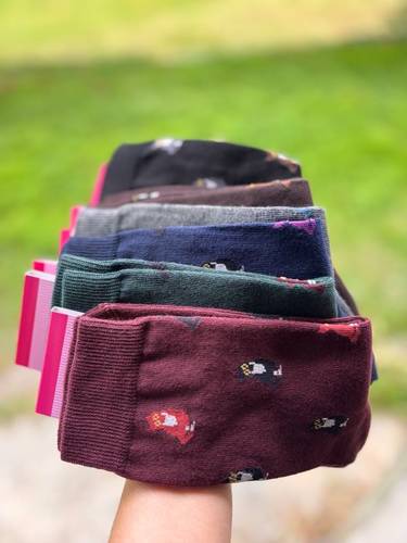 Calzino Paripiede Donna caldo cotone micetti assortiti variante due