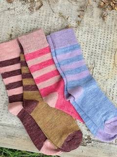 Calzino Paripiede Donna alpaca righe Lampone/Rosa
