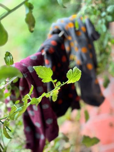 Calzettone donna caldo cotone pois Bordeaux